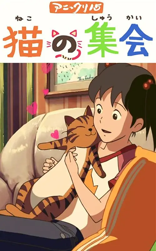 国内国外精品一区二区