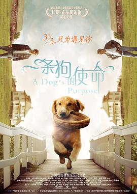 欧美成人生活片