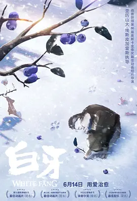 99国产精品一区二区