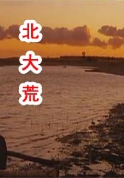 五月婷综合