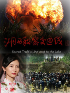 国产小视频在线观看免费