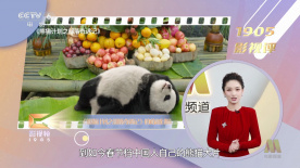 免费黄色激情视频